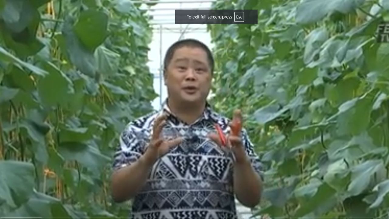 Exotic Delights - Episode 11