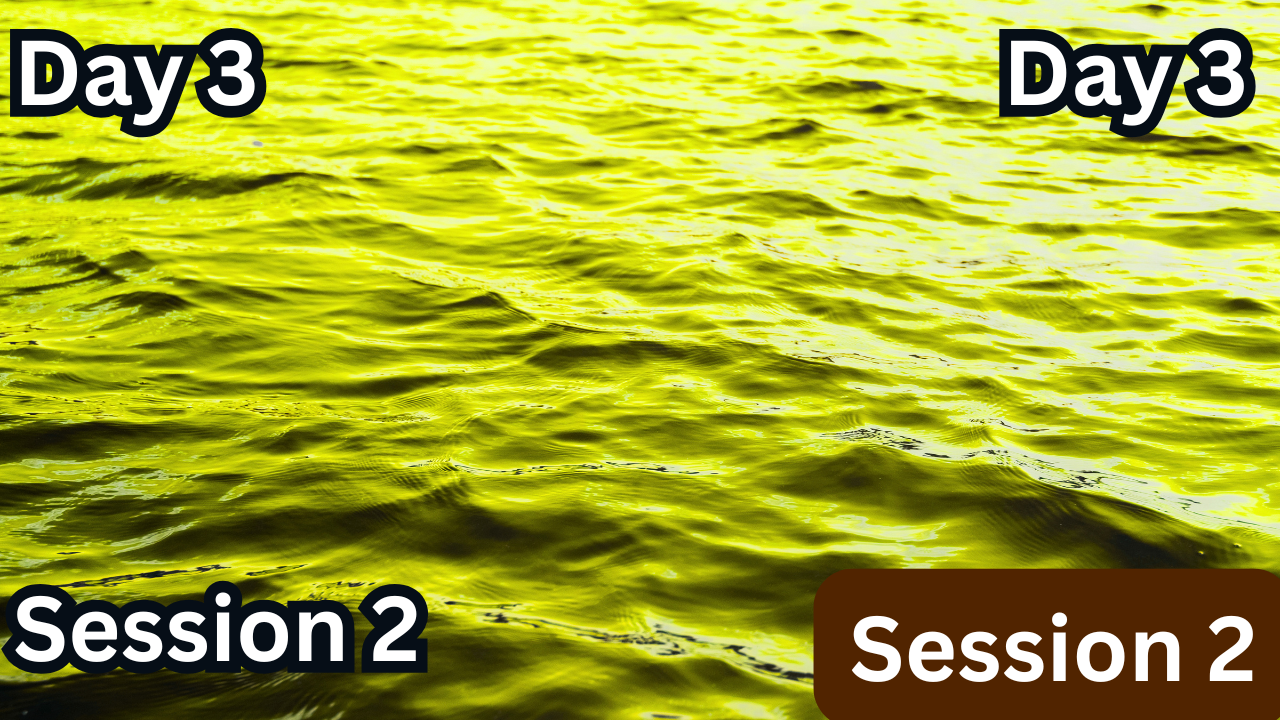 Day 3: Session 2